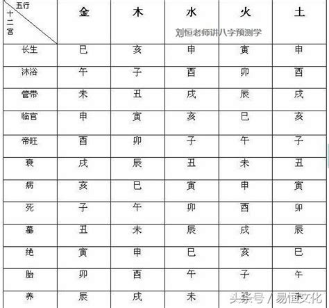 八字長生表|八字十二長生解讀——胎、養